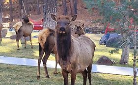 Sierra Blanca Cabins Ruidoso